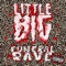 To Party (feat. DenDerty & Danny Zuckerman) - Little Big lyrics