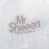 Stream & download Mr Sheeen - Single