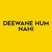 Deewane Hum Nahi artwork