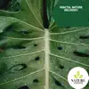 Fractal Nature Melodies album lyrics, reviews, download