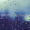 Calming Rain Sounds album lyrics, reviews, download