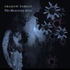 Shadow Forest - Our Darkest Hour