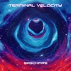 Terminal Velocity