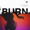 Burn (feat. Jon Waltz) - Matt Champion lyrics