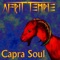 Followed by Foxes - Afrit Temple lyrics