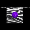 Aureole - Single