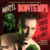 Witches Spiders Frogs & Holes (Demos & Recordings 2009 -2014) - Marcel Bontempi