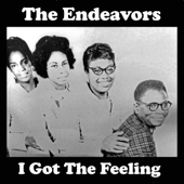 I Got the Feeling - The Endeavors