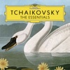 Lang Lang - Piano Concerto No. 1 in B-Flat Minor, Op. 23, TH.55: 1. Allegro non troppo e molto maestoso - Allegro con spirito