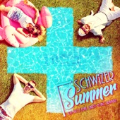 Schwizer Summer (feat. Sandy & MC Tiramisu) [Radio Edit] artwork