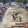 Arpas, Voces y Toros Coleados, Vol.3