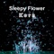 Ji Nuun Reona Andaina - Sleepy Flower lyrics