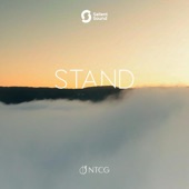 Stand (Radio Edit) artwork