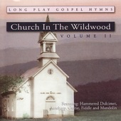 Church In the Wildwood, Vol. II artwork