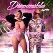Disponible (feat. George Mayers) [Remix] artwork