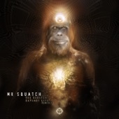 The Squatch Expands Life (Kalya Scintilla Remix) artwork