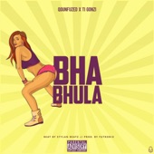 Bhabhula (feat. Ti Gonzi) artwork