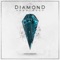 The Complex Thought (feat. C.J. McMahon) - Diamond Construct lyrics