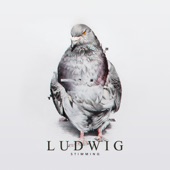 Ludwig artwork