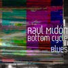 Raul Midon - Bottom Cycle Blues