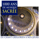 Canon for 4 Voices in F Major, K. 554 "Ave Maria" - Les Petits Chanteurs De Chartres