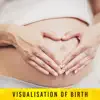 Visualisation of Birth: Expecting a Baby, Music for the Womb, Soothing Nature Sounds for Deep Hypnosis, Stress Free Childbirth album lyrics, reviews, download