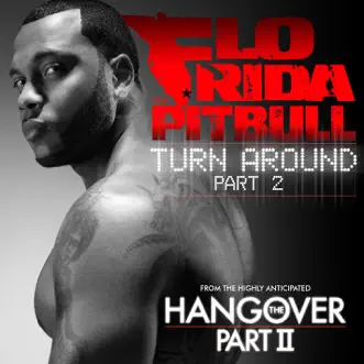 Turn Around, Pt. 2 by Flo Rida & Pitbull song reviws