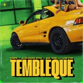 Tembleque (feat. Los Tioz) artwork