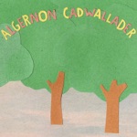 Algernon Cadwallader - In Response to Irresponsibility