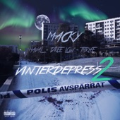 Vinterdepress 2 (feat. Haval) artwork