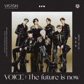 Voice : The Future Is Now artwork