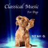 Classical Music for Dogs