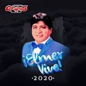 Elmer Vive 2020 (En Vivo) artwork