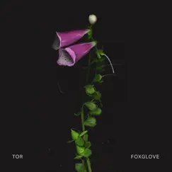 Foxglove - Single by TOR album reviews, ratings, credits
