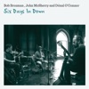 Bob Brozman, David Grisman & Mike Auldridge - Portaferry Swing