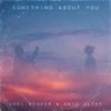 Something About You - Single