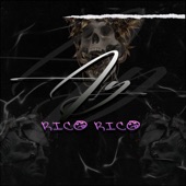 Ay Rico Rico artwork