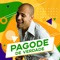 Homenagem a Zeca Pagodinho (feat. Zeca Pagodinho) - Reinaldo lyrics