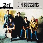 20th Century Masters - The Millennium Collection: The Best of Gin Blossoms