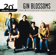 20th Century Masters - The Millennium Collection: The Best of Gin Blossoms