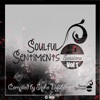 Soulful Sentiments Sessions, Vol. 1