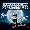 Because the Night (feat. Steffi List) - Single