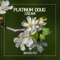 Cream - Platinum Doug lyrics