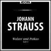 Stream & download Strauss: Walzer und Polkas, Vol. 2