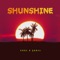 Sunshine artwork