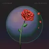 Roses of Neurosis - EP album lyrics, reviews, download