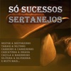 Só Sucessos Sertanejos, 2005