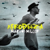 Marcus Miller - I Can’t Breathe (feat. Chuck D & Mocean Worker)