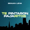 Te Pintaron Pajaritos - Single