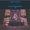 Living Ornaments '79 (Live) artwork